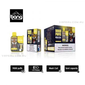 BANG Vape 9000 Puffs Peach Ice