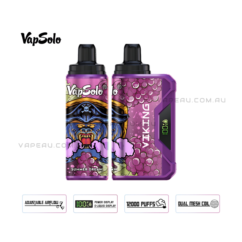 VapSolo Viking 12000 Puffs Summer Dream