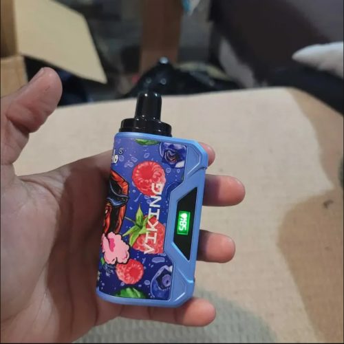 VapSolo Viking 12000 Puffs Blueberry Raspberry photo review